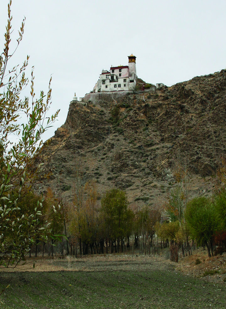 View from below of white building on top of scraggy hillside with trees at its base