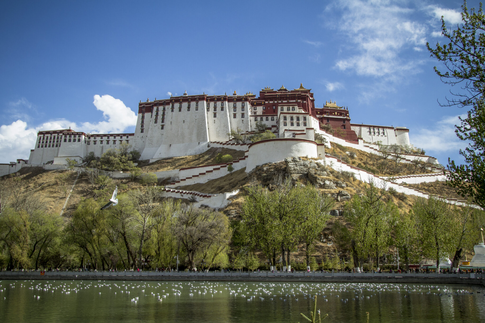 Sprawling white and red palace situated on hill covered with crisscrossing staircases above trees and water