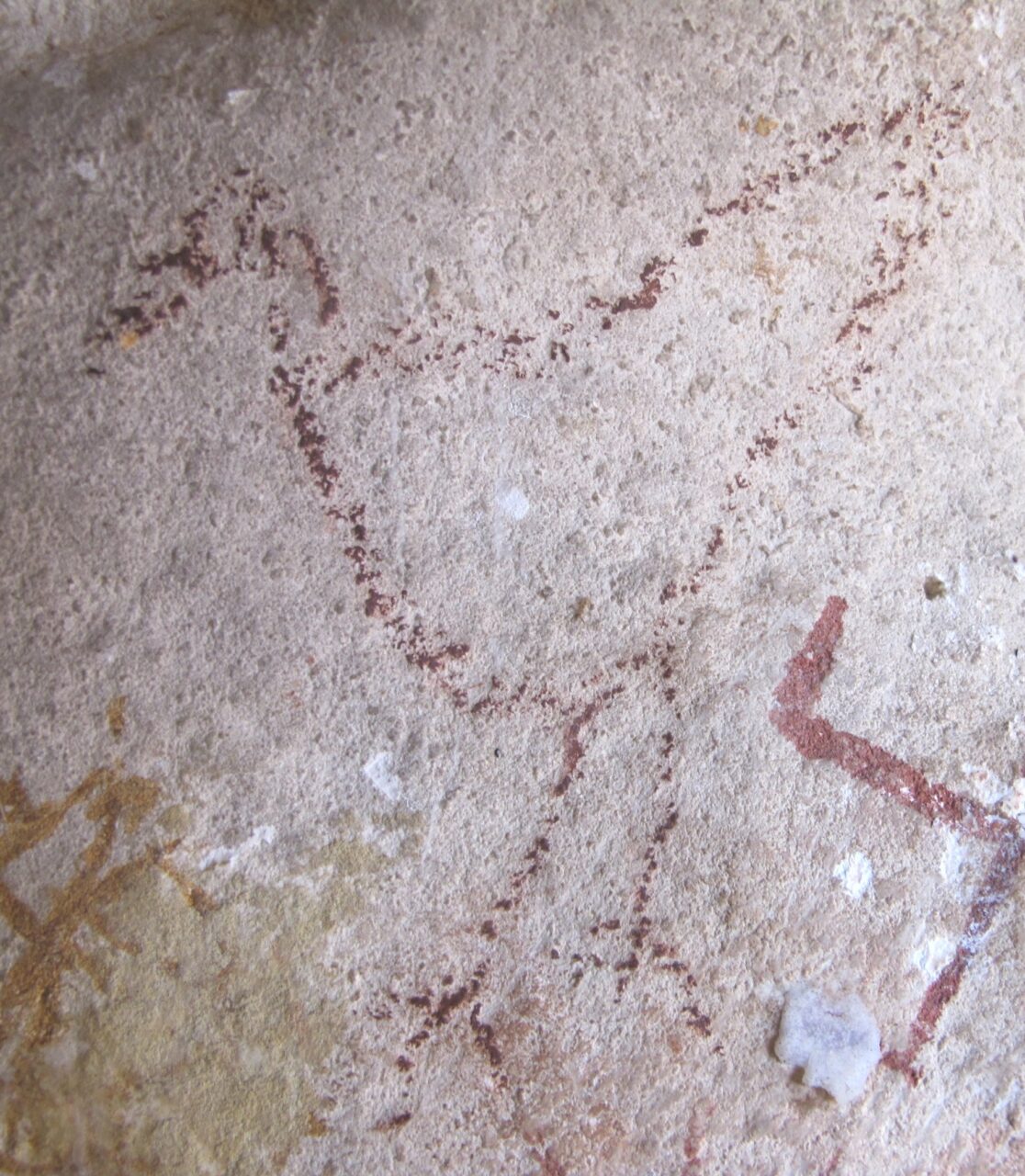 Form of a bird outlined in barely suggested rust-red pigment on rough white rock