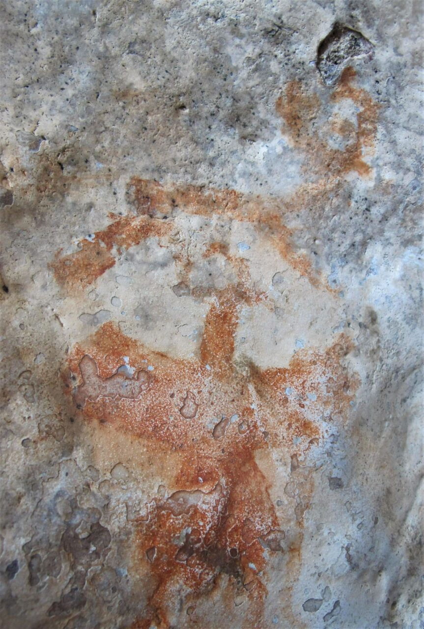 Orange-red bird with outstretched wings underneath line drawing of horned animal on beige pockmarked rock