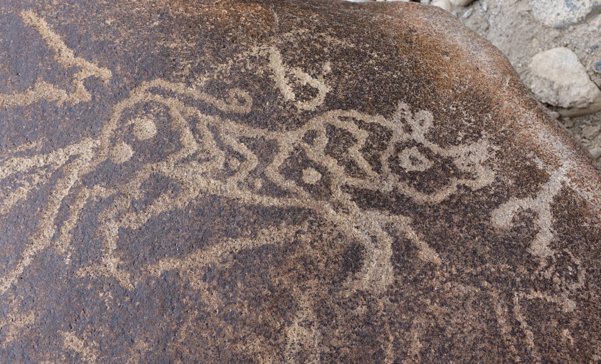 One of three striped carnivores carved on a boulder | Project Himalayan Art