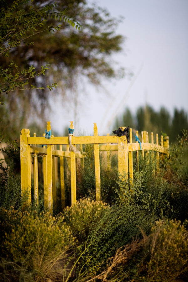 A photograph of a living shrine in nature