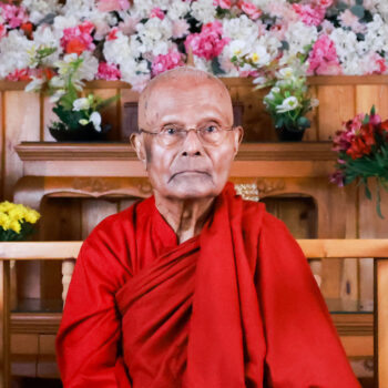 Headshot of Bhante Gunaratana