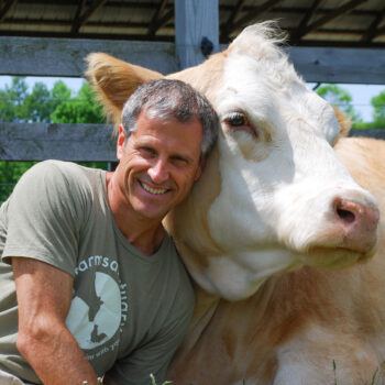 Smiling adult man (Gene Baur) leaning his head against a light brown-and-white cow, sitting near a wooden fence in a sunny farm shelter with trees in the background