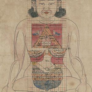 Bodies in Balance: The Art of Tibetan Medicine