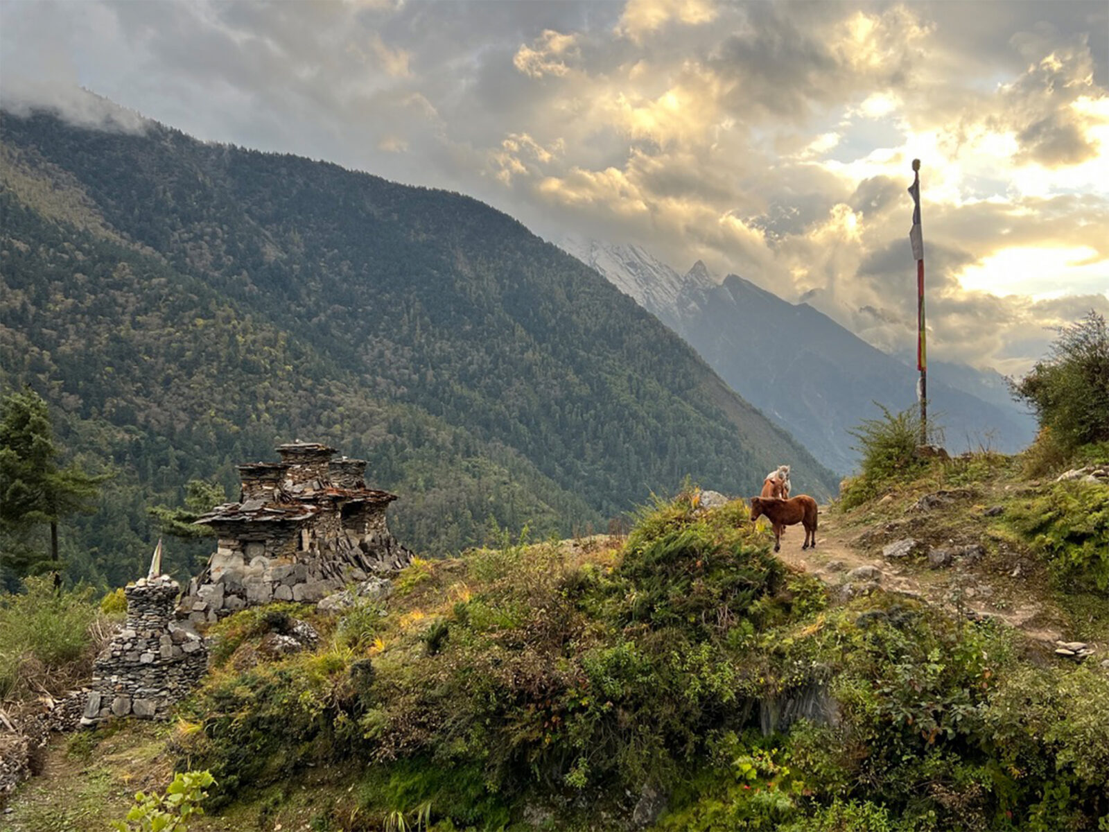 Figure leading a horse along a path on a hill, with mountains in the background